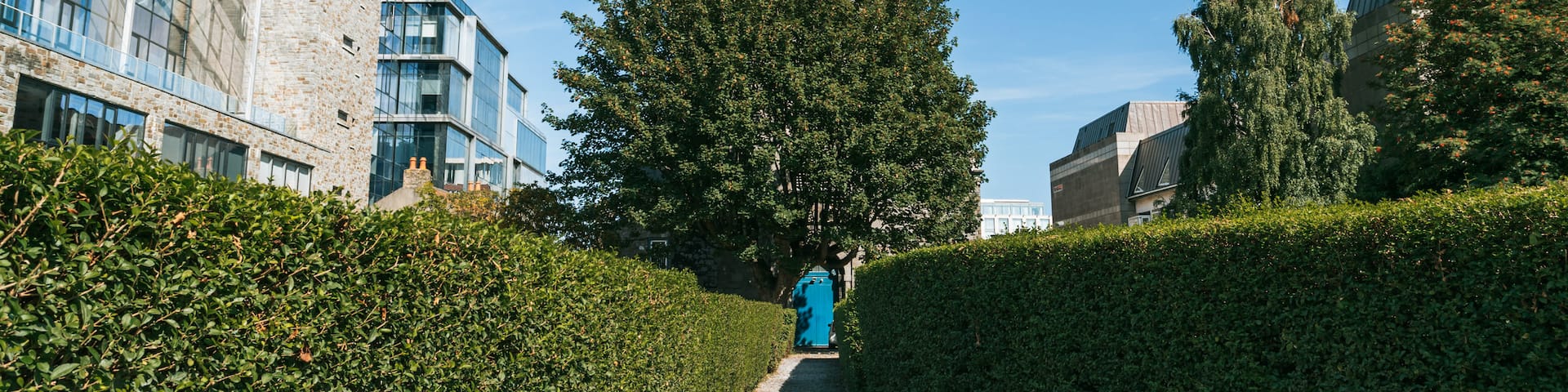 St. Michan\'s Church showing a park and heritage architecture
