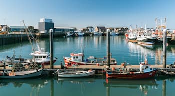 Howth showing a bay or harbor