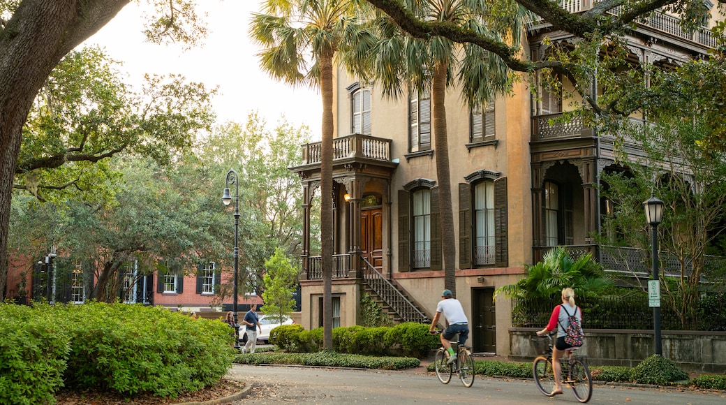 Savannah