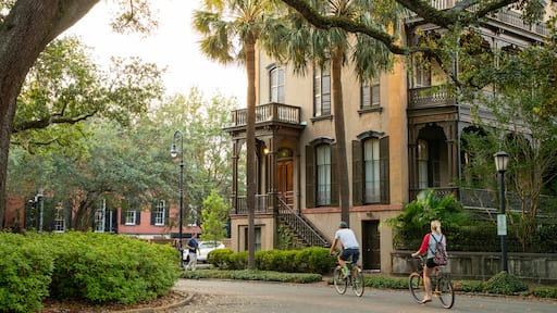 Savannah