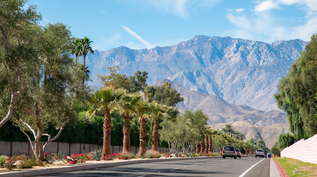 Palm Springs