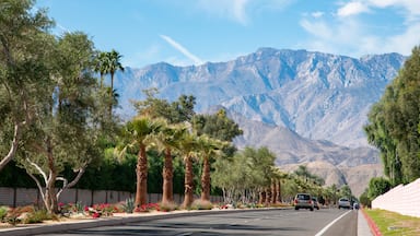 Palm Springs