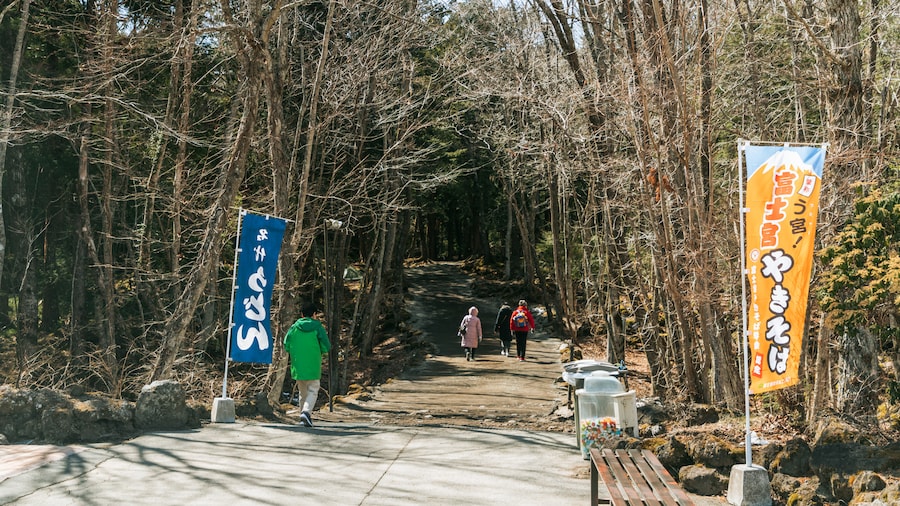 ForĂȘt Aokigahara