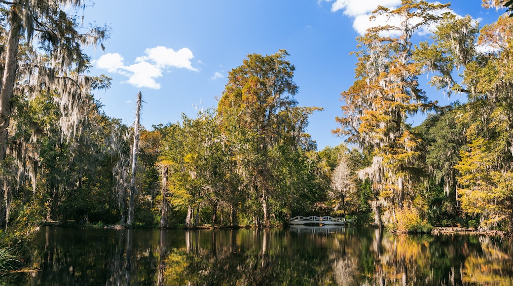 Magnolia Plantation and Gardens