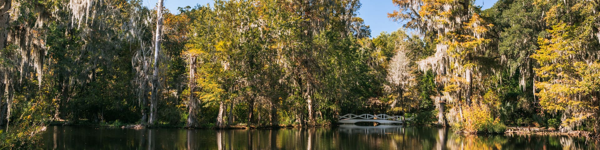 Magnolia Plantation and Gardens