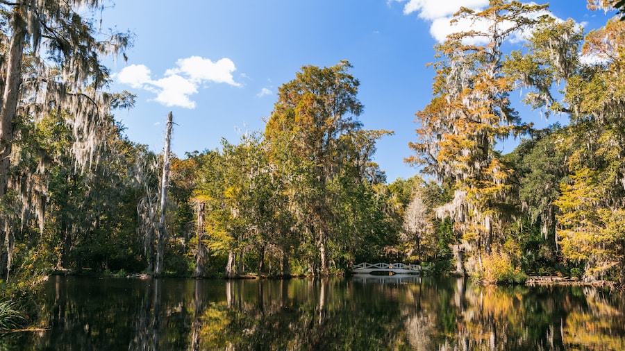 Magnolia Plantation and Gardens (Museum und Parkanlage)