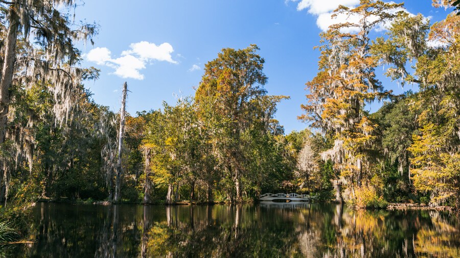 Scenic view of Magnolia Plantation and Gardens in Charleston.