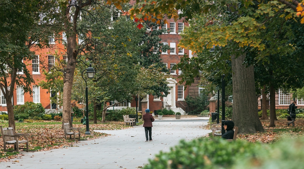 Society Hill