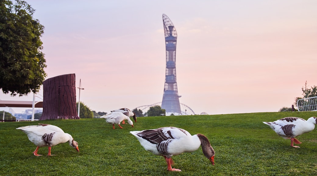 Photo provided by Visit Qatar