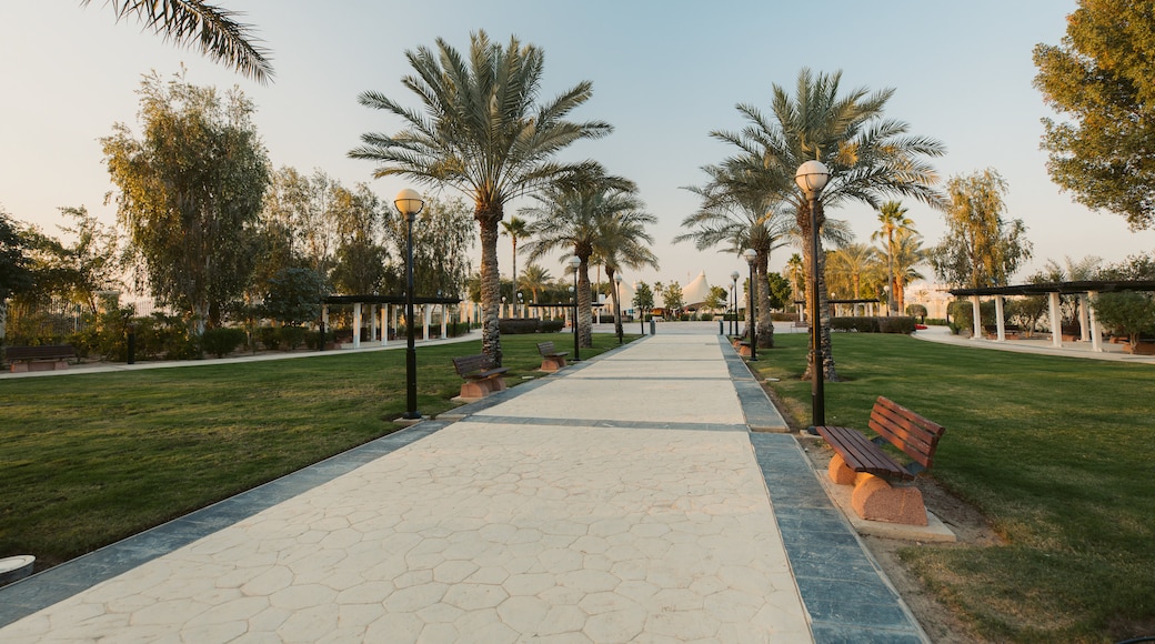 Photo provided by Visit Qatar