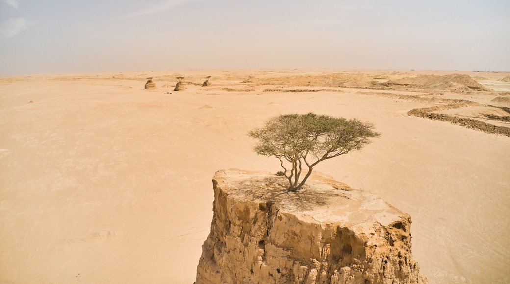 Photo provided by Visit Qatar