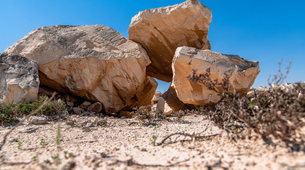 Photo provided by Visit Qatar
