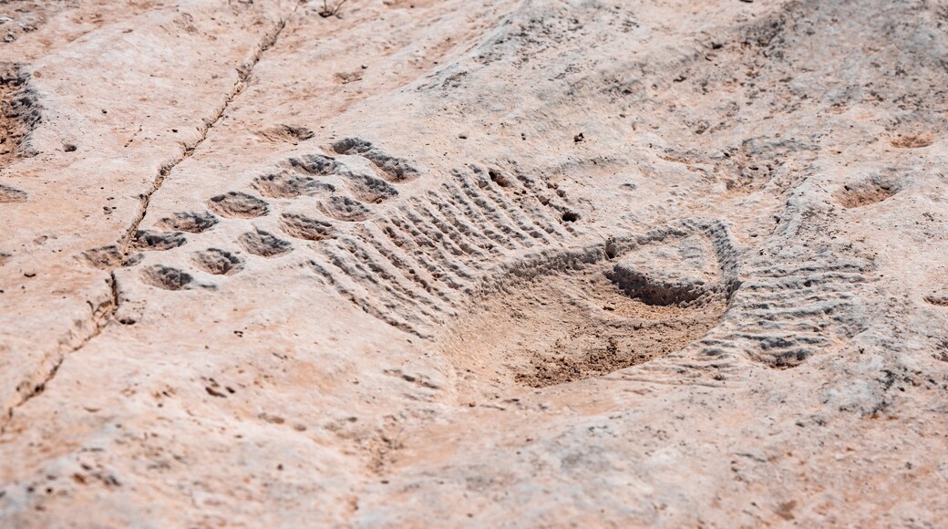 Photo provided by Visit Qatar