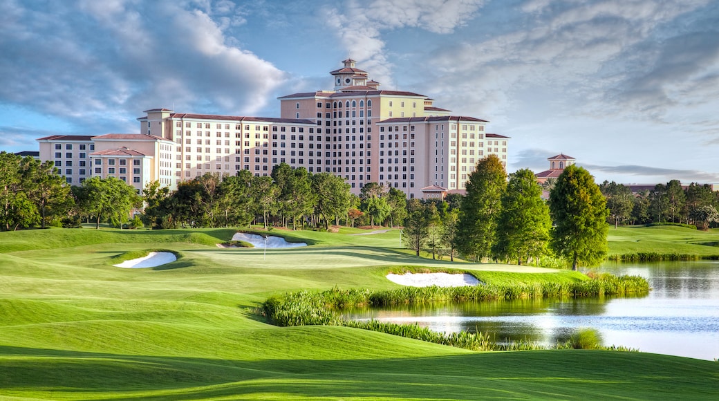 Photo provided by Visit Orlando