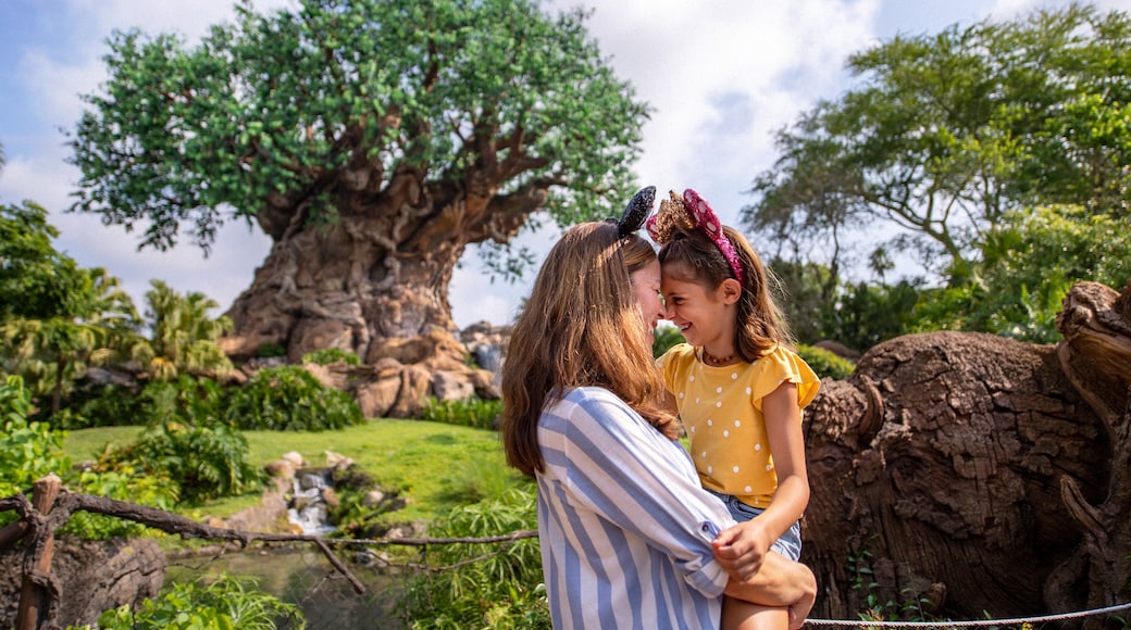 Photo provided by ©Disney