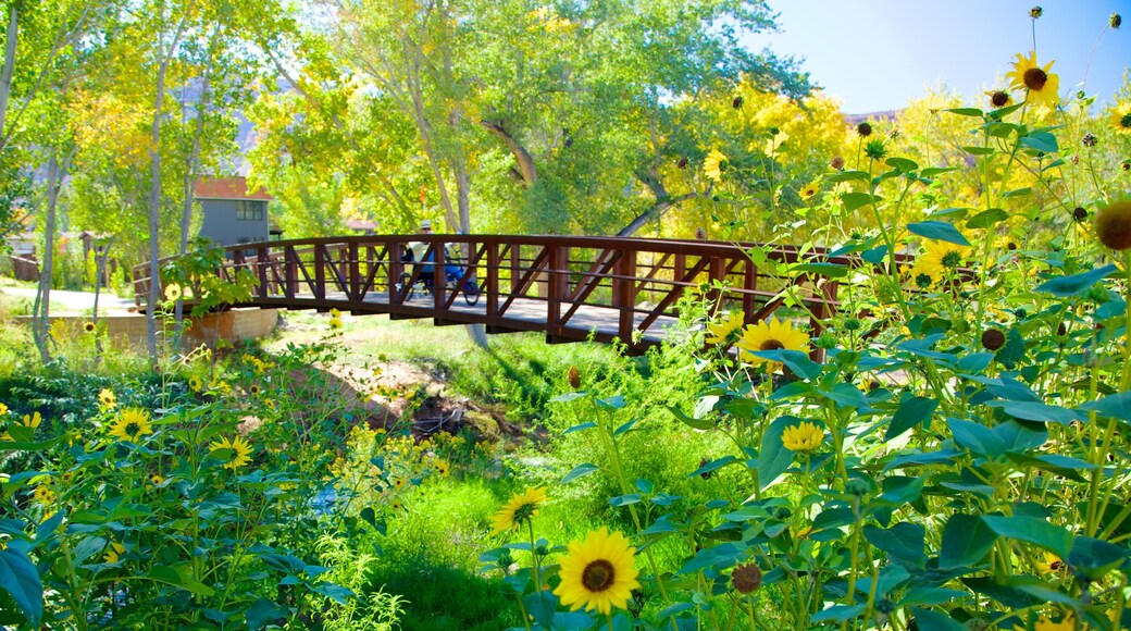 Moab bevat een brug, bloemen en een park