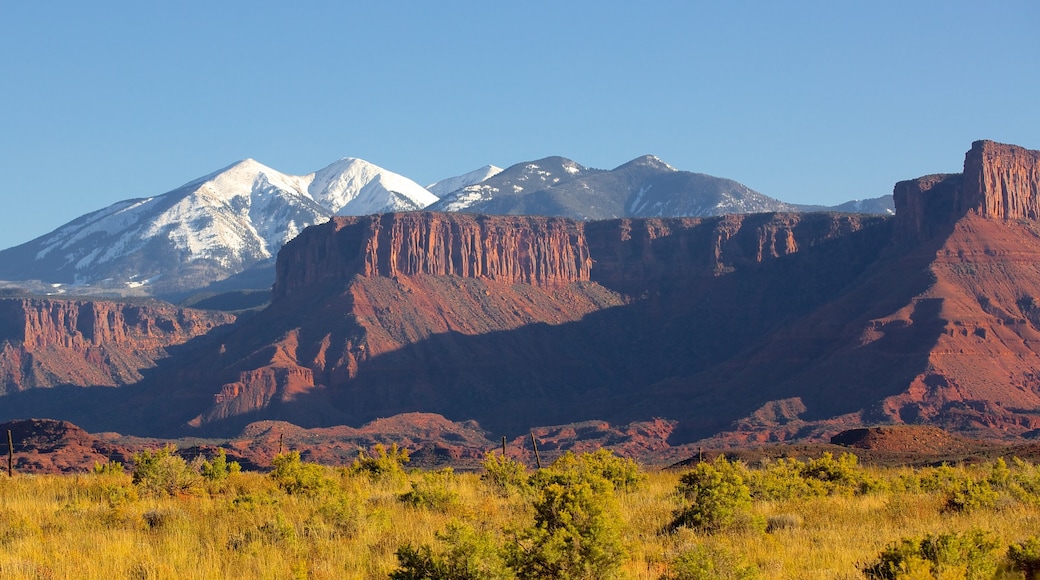 Moab welches beinhaltet ruhige Szenerie und Landschaften