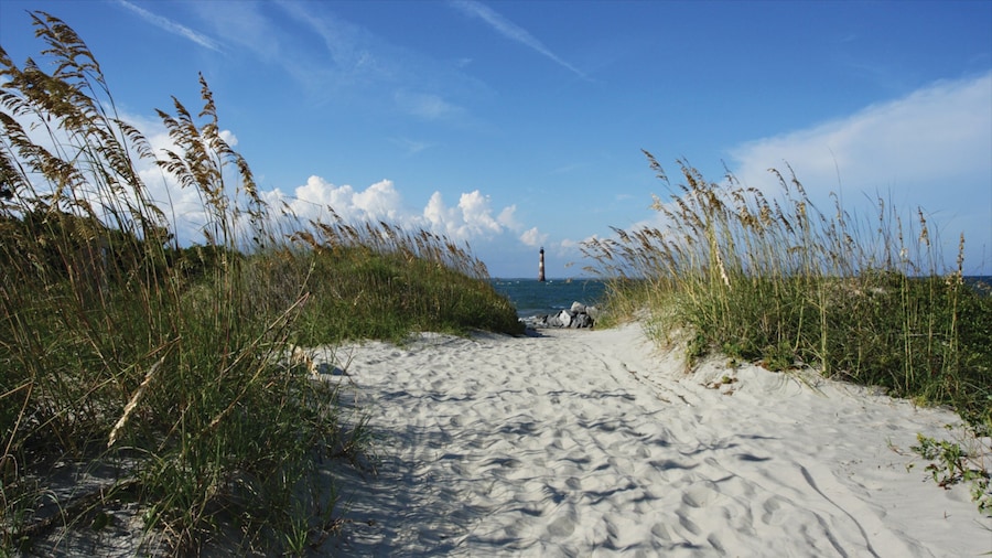Folly Beach featuring general coastal views and a beach