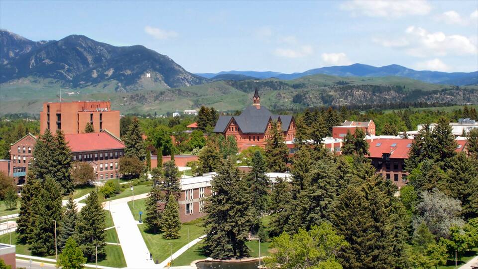 Bozeman featuring pieni kaupunki tai kylä