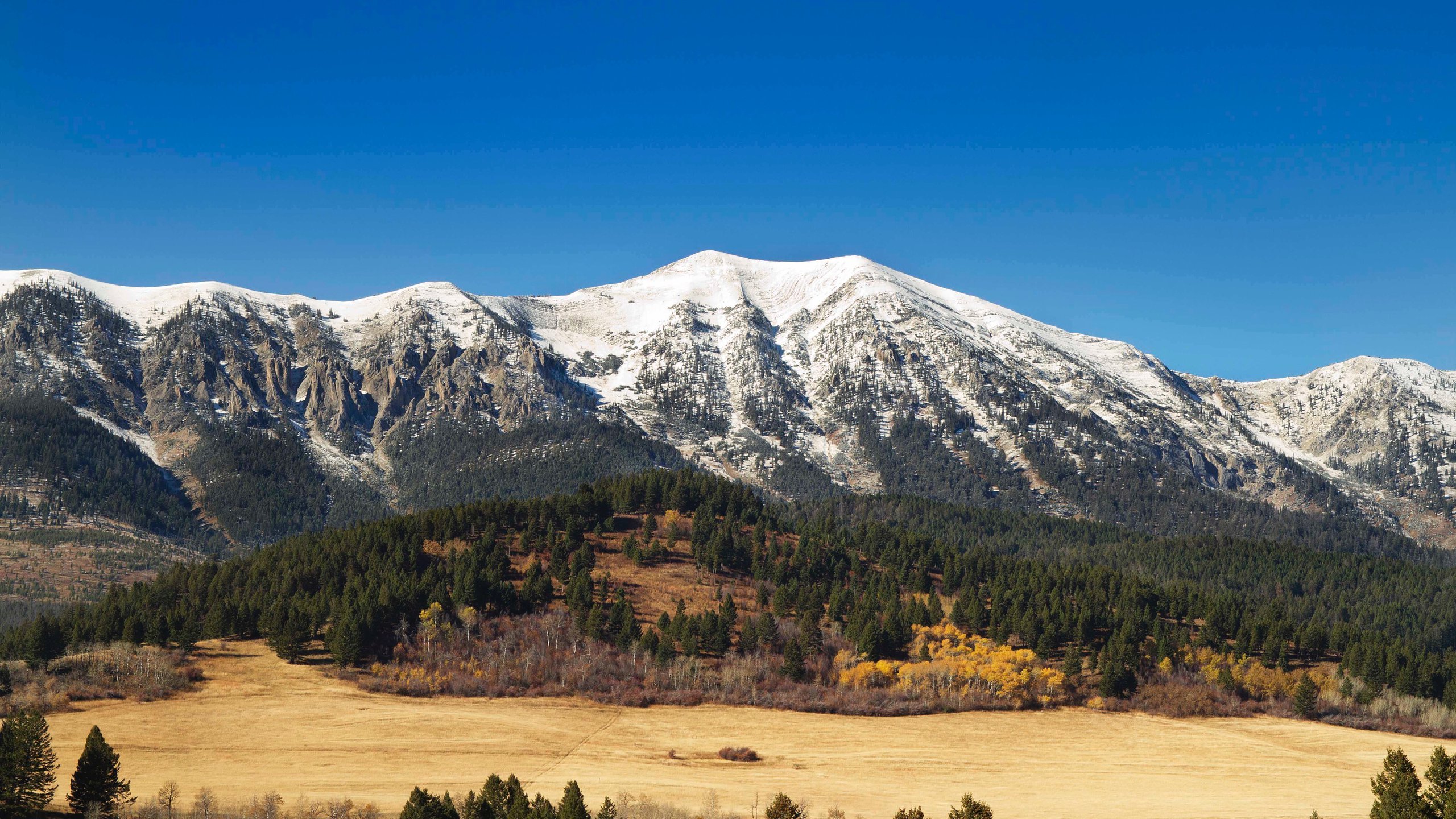 Bozeman which includes mountains, forests and tranquil scenes