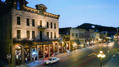 Deadwood showing a hotel, night scenes and signage