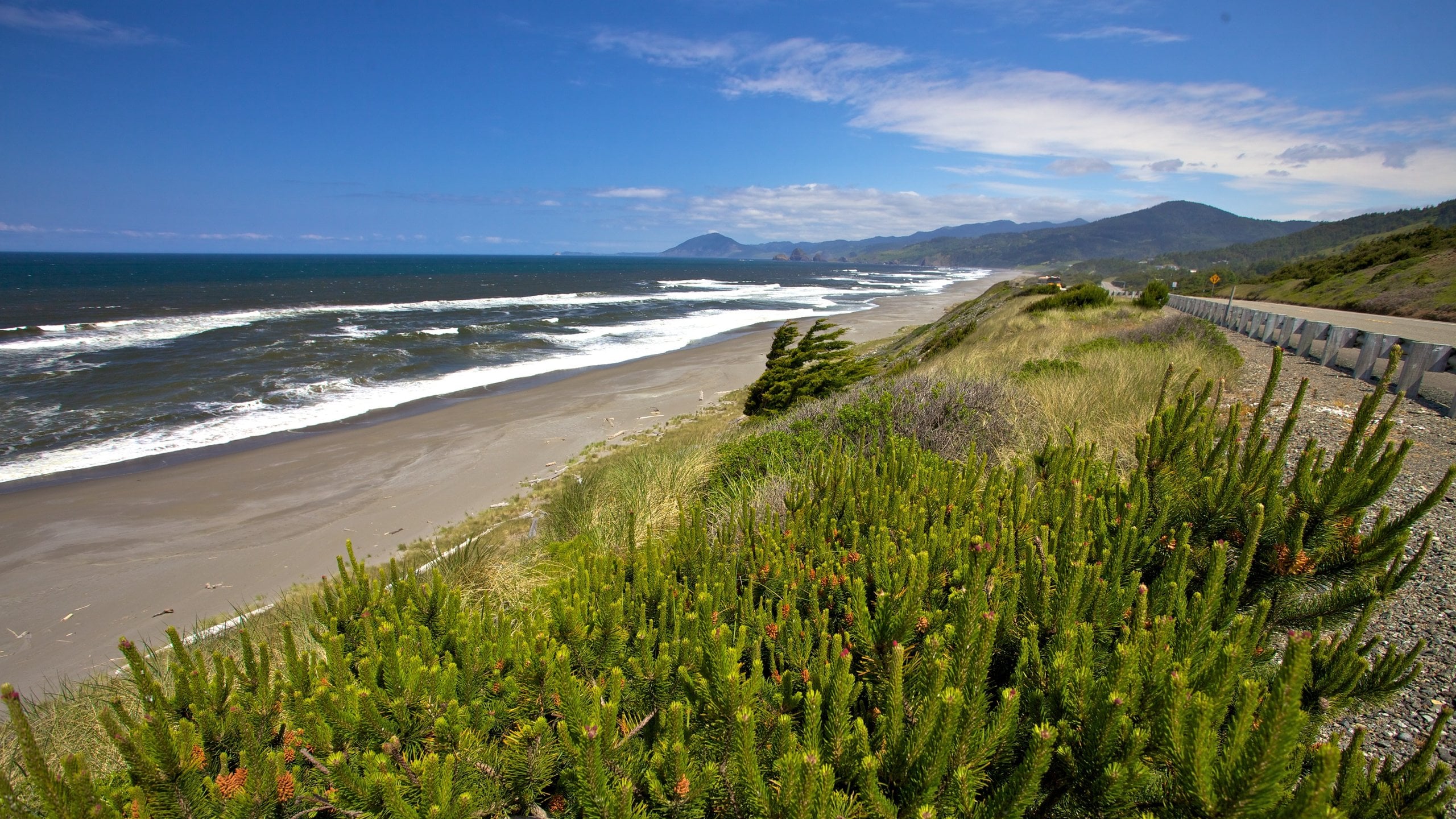 Oregon Coast featuring general coastal views, a sandy beach and landscape views