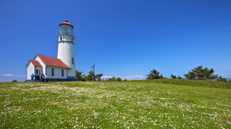 Oregon Coast featuring tranquil scenes and a lighthouse