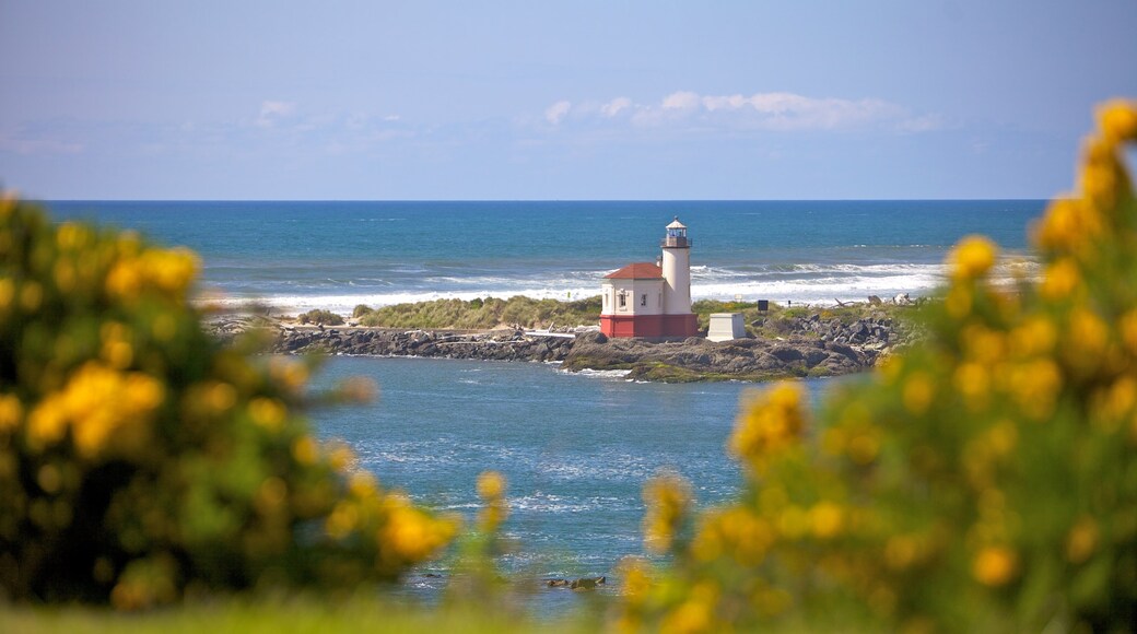 South Oregon Coast featuring rugged coastline, general coastal views and a lighthouse