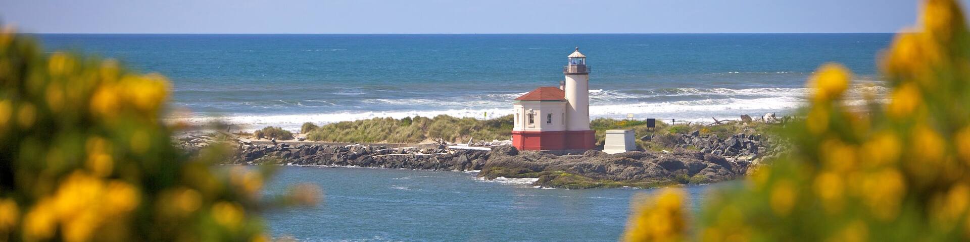 South Oregon Coast featuring rocky coastline, general coastal views and a lighthouse