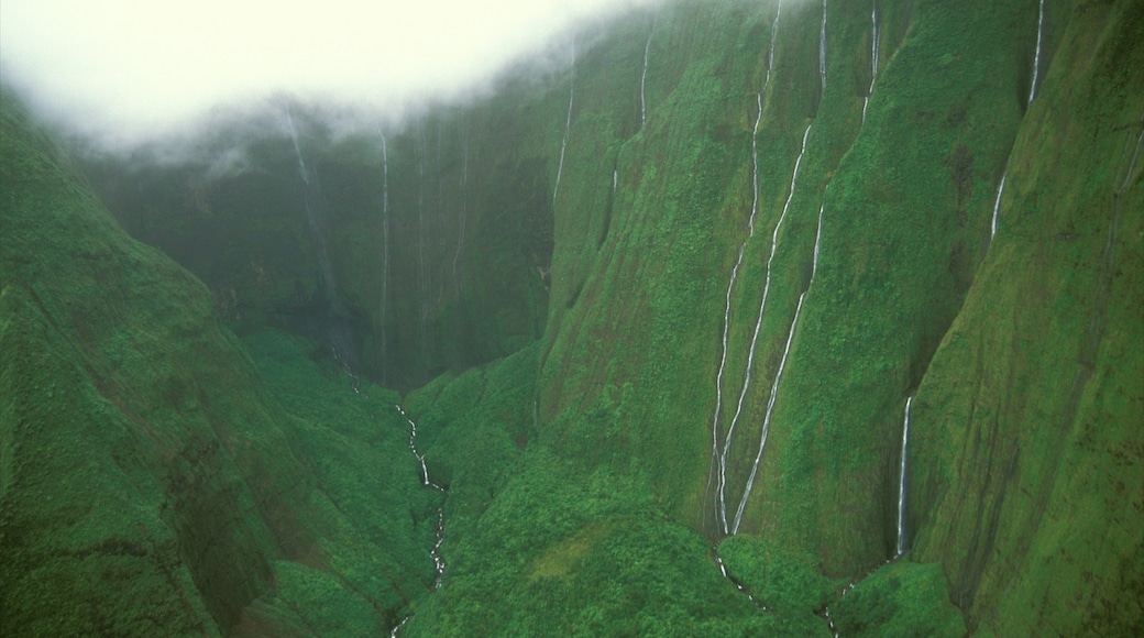 Photo provided by Hawaii Visitors and Convention Bureau