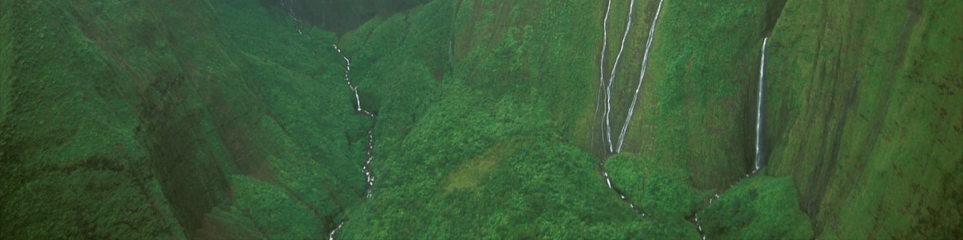Mt. Waialeale which includes mist or fog, a gorge or canyon and a waterfall