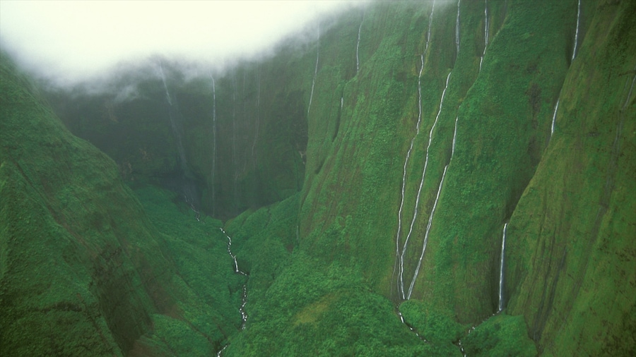 Mt. Waialeale which includes a cascade, a gorge or canyon and mist or fog