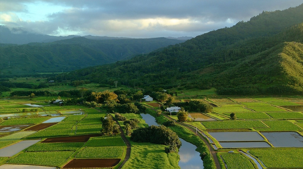 Foto proporcionada por Hawaii Visitors and Convention Bureau