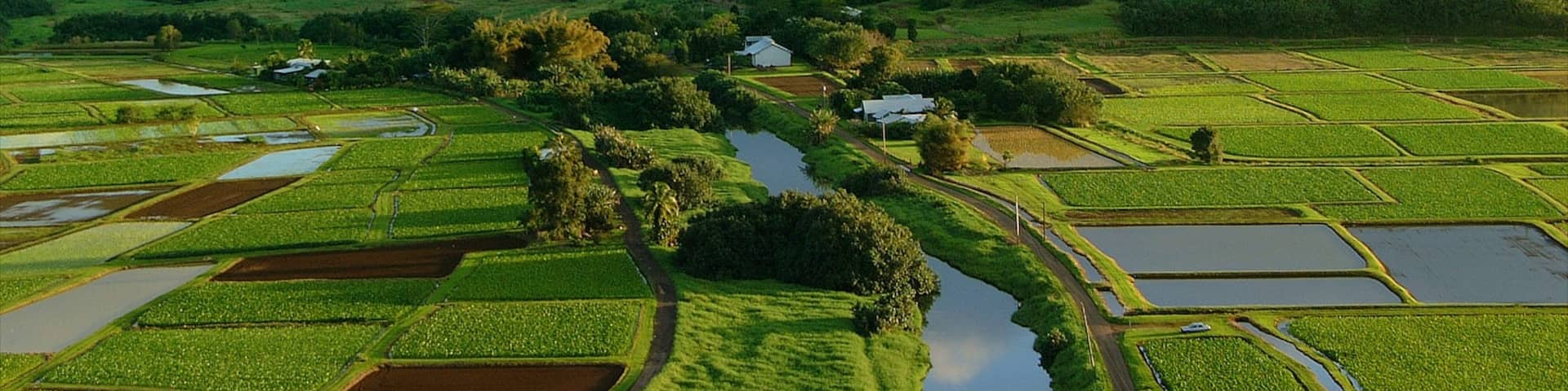 Hanalei Valley Lookout which includes farmland, landscape views and mountains