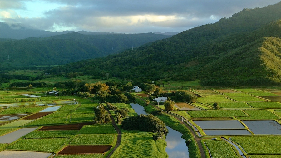 Hanalei Valley Lookout caratteristiche di terreno coltivato, vista del paesaggio e fiume o ruscello