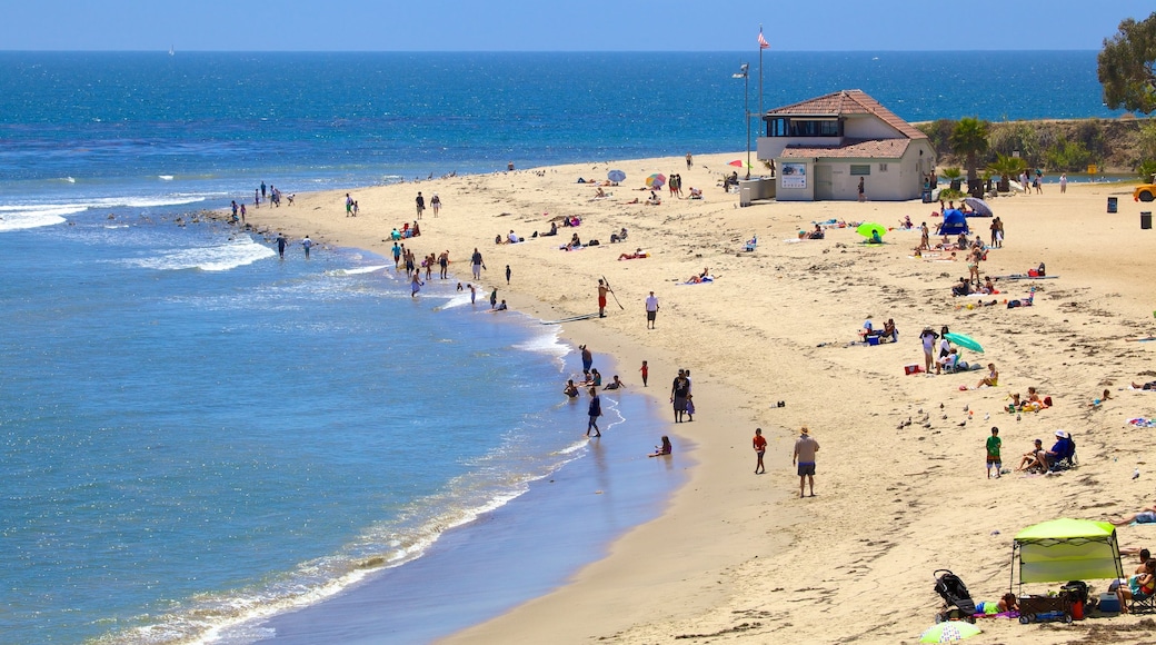 Malibu showing general coastal views, a sandy beach and swimming