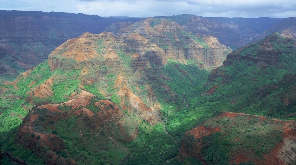 Billede leveret af Hawaii Visitors and Convention Bureau