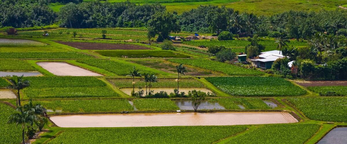 Haena which includes farmland and landscape views