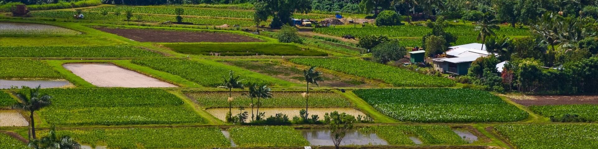 Haena das einen Landschaften und Farmland