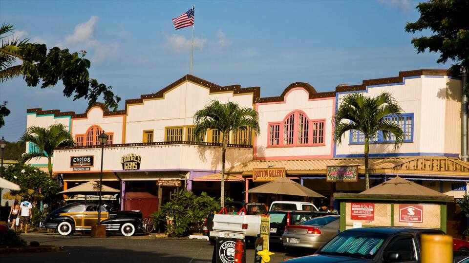 Haleiwa showing street scenes