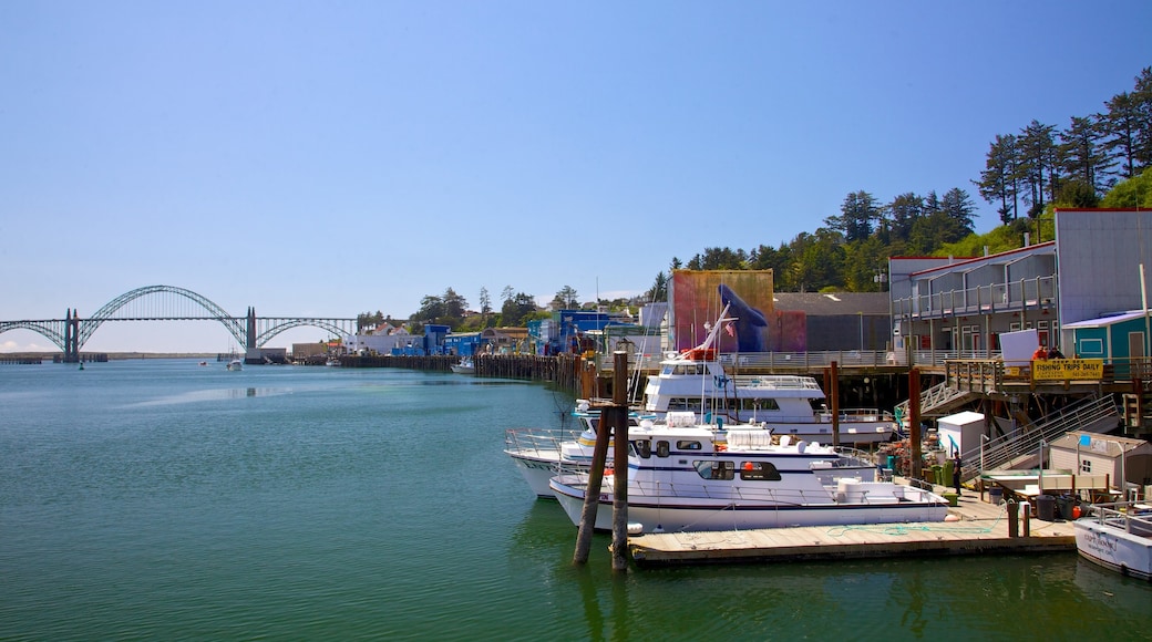 Newport which includes a bridge, boating and a bay or harbour