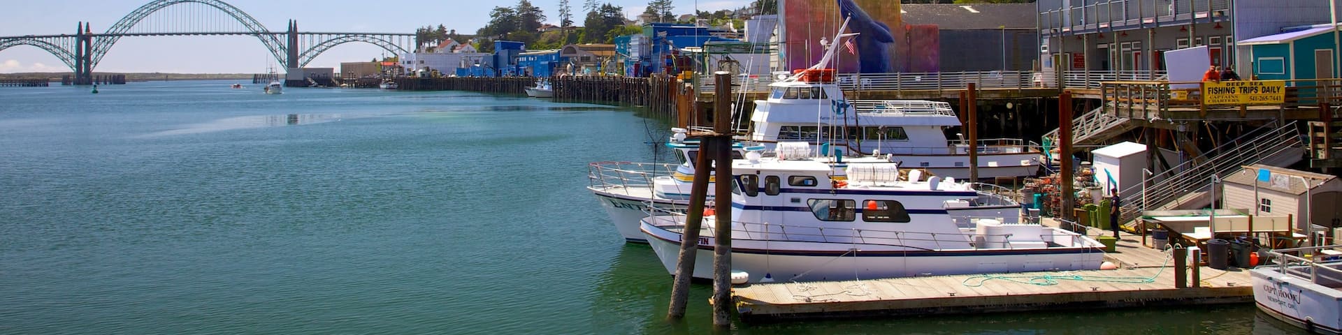 Newport mostrando porto turistico, giro in barca e baia e porto