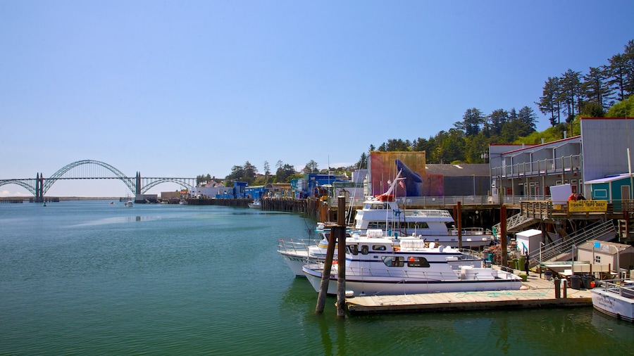 Newport ofreciendo una marina, paseos en lancha y una bahía o puerto