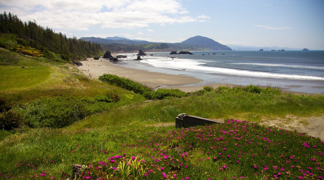 Port Orford which includes a sandy beach, landscape views and general coastal views
