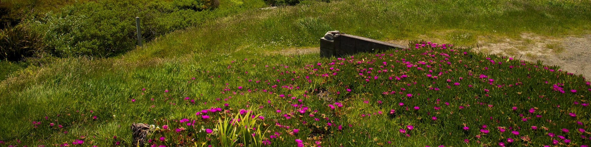 Port Orford showing landscape views, general coastal views and a beach