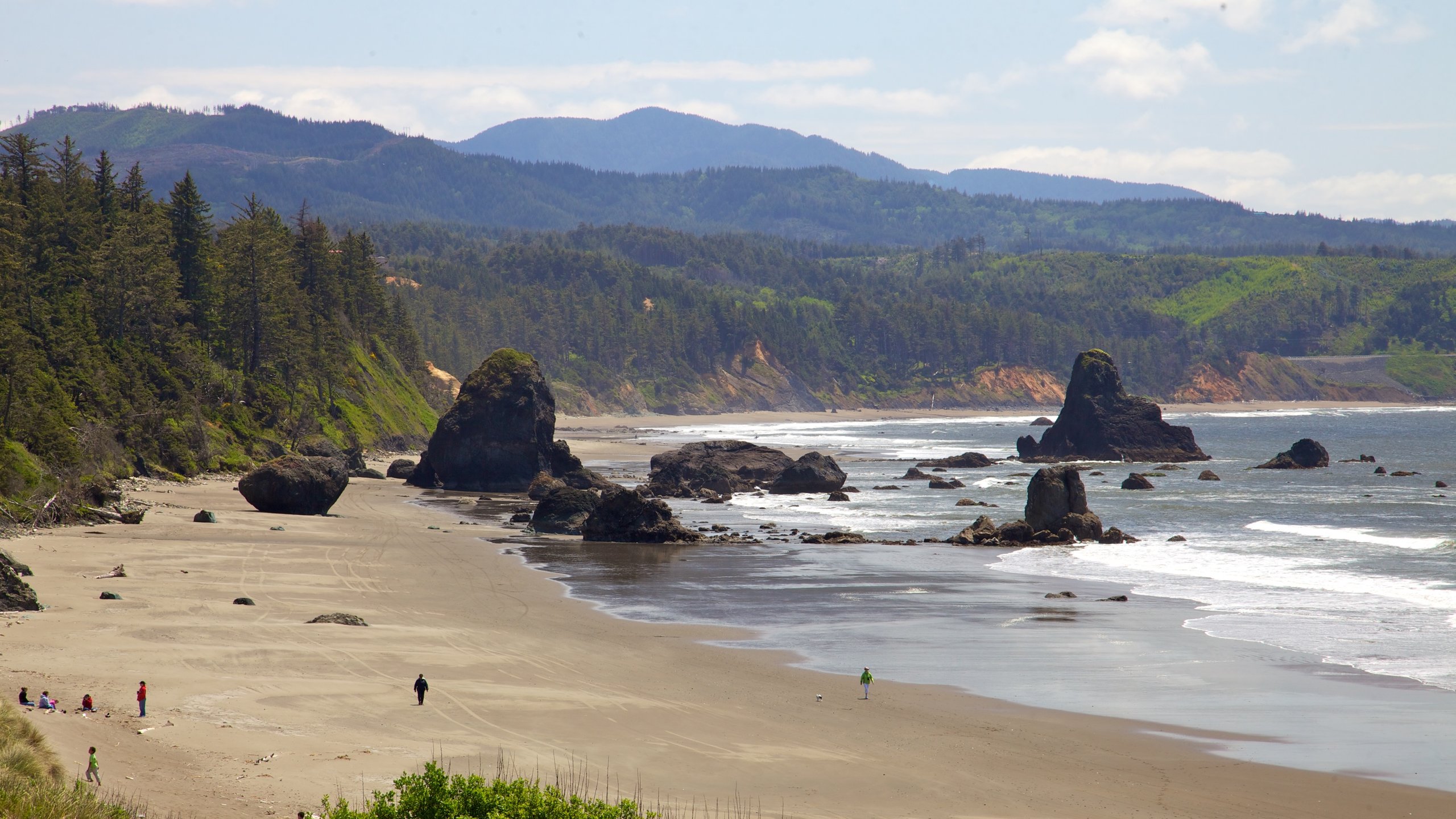 Visit Port Orford Best of Port Orford, Oregon Travel 2023 Expedia