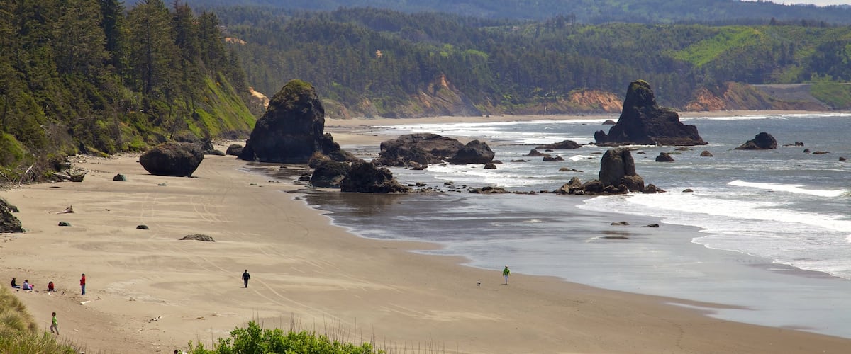 Port Orford montrant panoramas, plage et vues littorales