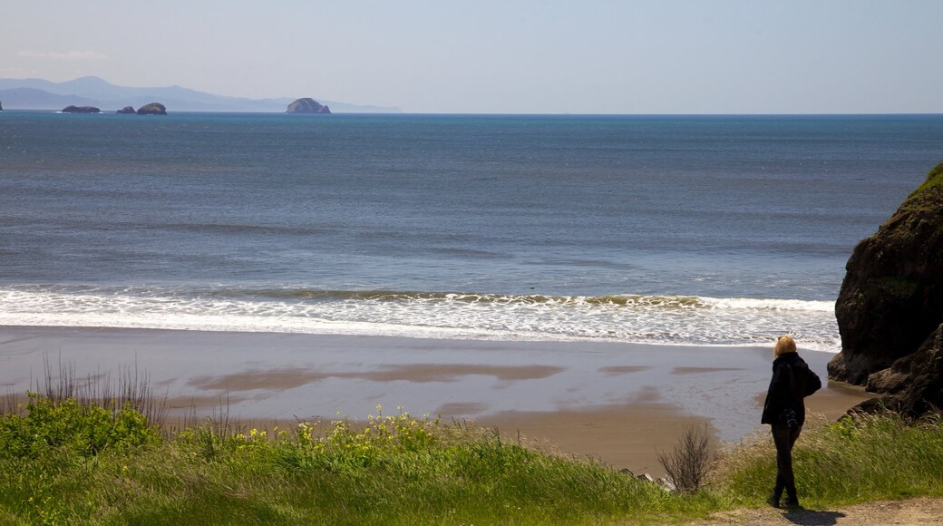 Port Orford featuring a sandy beach and landscape views as well as an individual femail