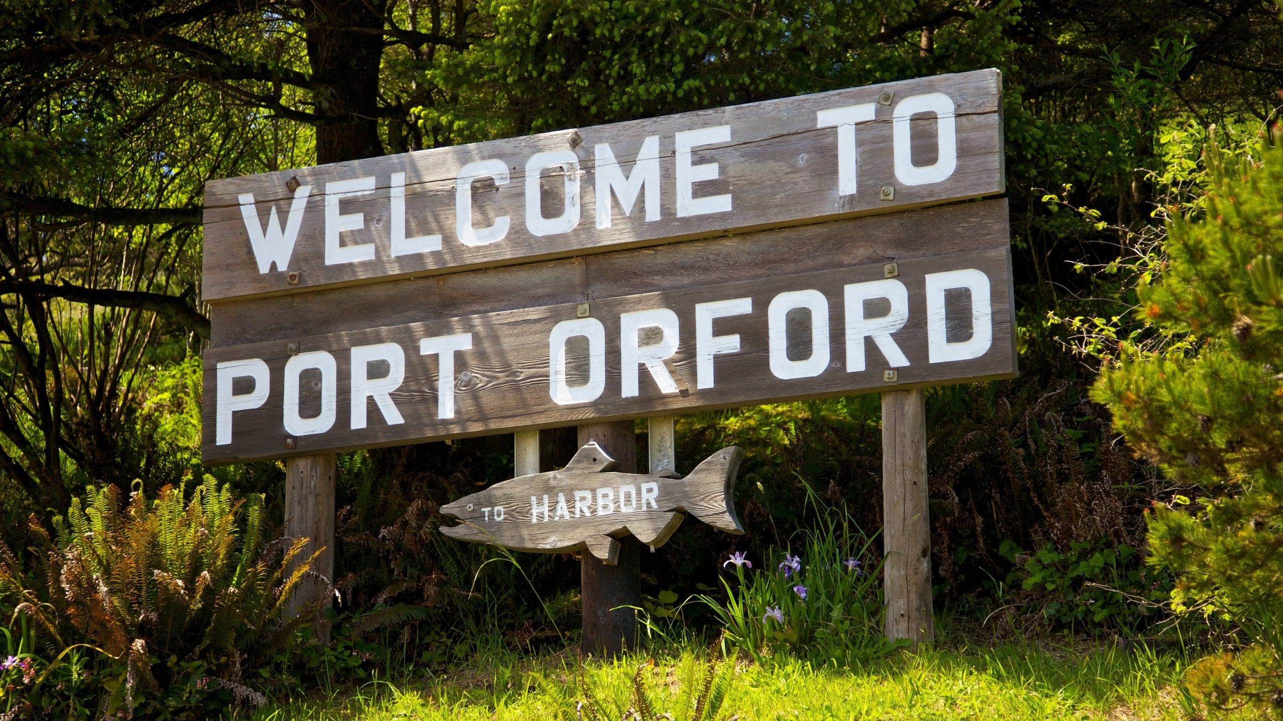 Visit Port Orford 2024 Travel Guide for Port Orford, Oregon Expedia