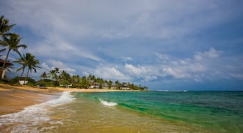 Poipu showing a beach, tropical scenes and landscape views